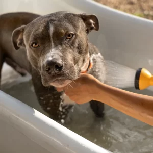 De-Mat Fee: per 15-minutes