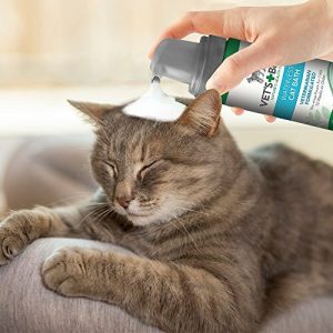 Flea Shampoo/Treatment
